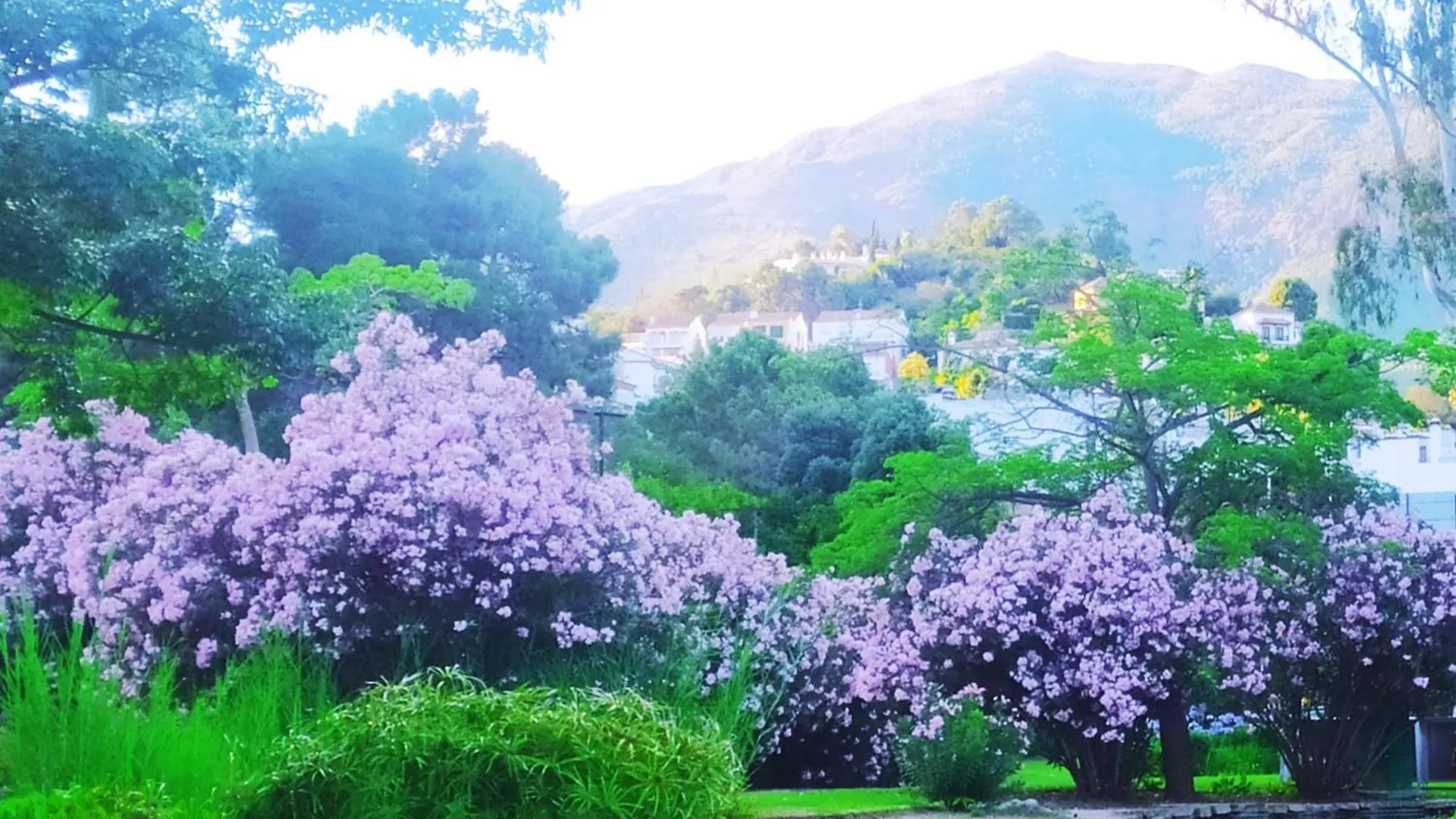 Attic Costa Del Sol Apartment Benahavis Spain